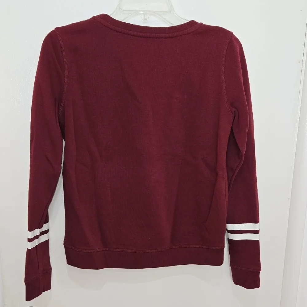 H&M Burgundy Harry Potter Hogwarts Four House Mascots Pullover Sweatshirt